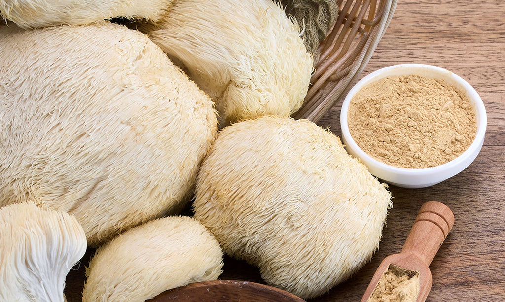 Lion's Mane Enriched Ground Coffee